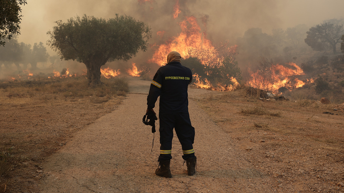 Live Update: Πολλαπλές εστίες φωτιάς στη Μάνδρα, συνεχείς αναζωπυρώσεις στη Ρόδο - Συγκλονιστικά βίντεο και φωτογραφίες από τη μάχη με τις φλόγες