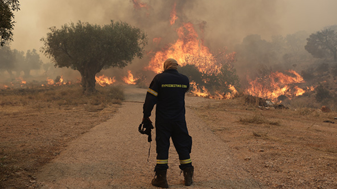 Σε ύφεση η φωτιά στην Αγία Τριάδα Βοιωτίας - Σηκώθηκαν και εναέρια μέσα