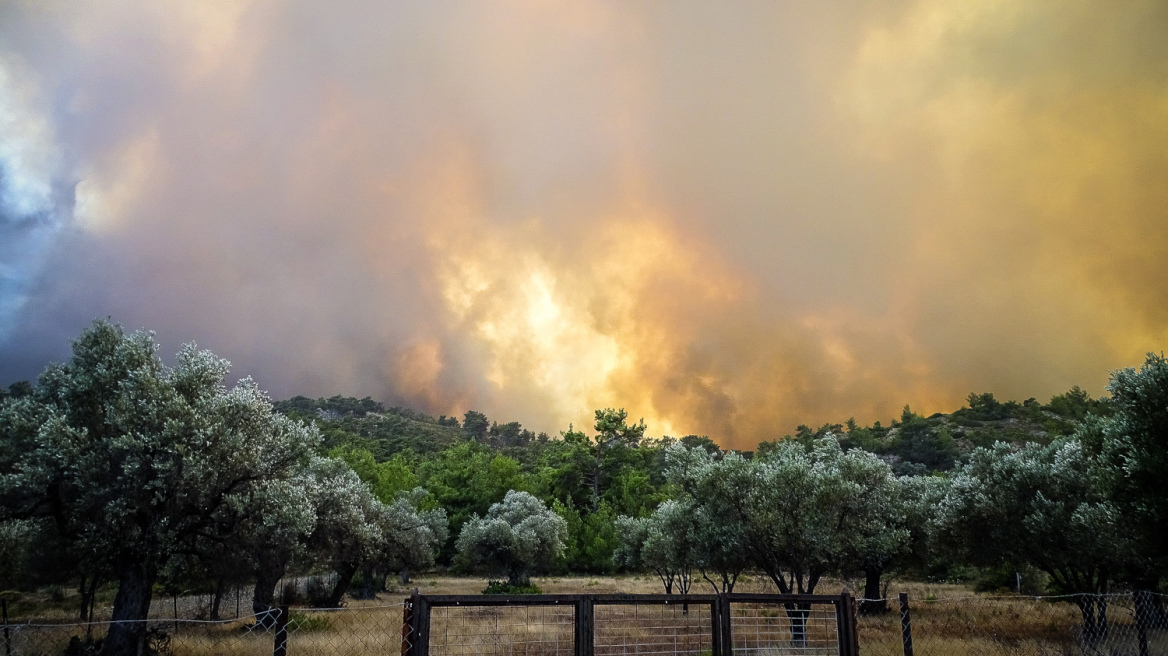 Λέκκας: Οι πέντε παράγοντες που συνέβαλαν στην πύρινη λαίλαπα της Ρόδου