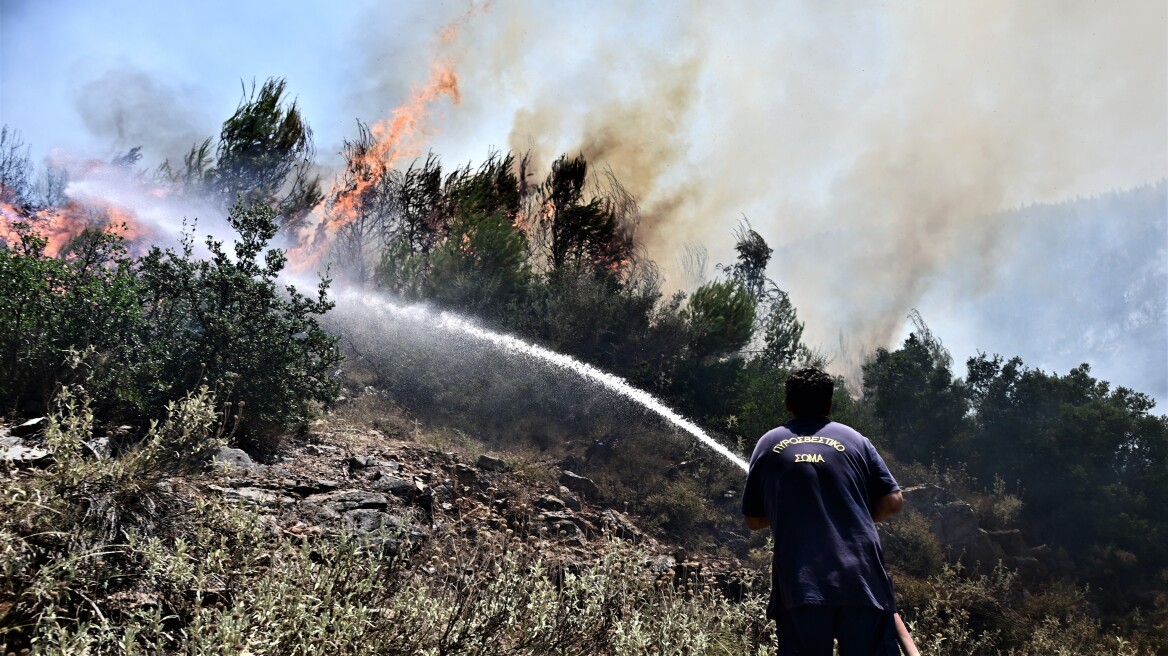 Συναγερμός στην Εύβοια - Πυρκαγιά ξέσπασε στην Κάρυστο