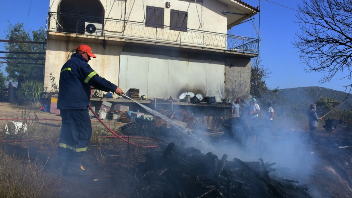 Φωτιές - Πυροσβεστική: Τρεις διαφορετικές εστίες πυρκαγιάς εκδηλώθηκαν ταυτόχρονα στην Κάρυστο, τα δύσκολα είναι μπροστά μας