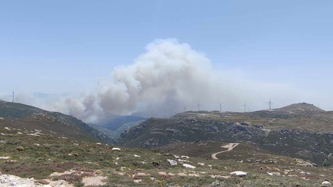 Αναζωπύρωση στην Κάρυστο: Εκκενώθηκαν οι περιοχές Πλατανιστός και Παλιοχώρι