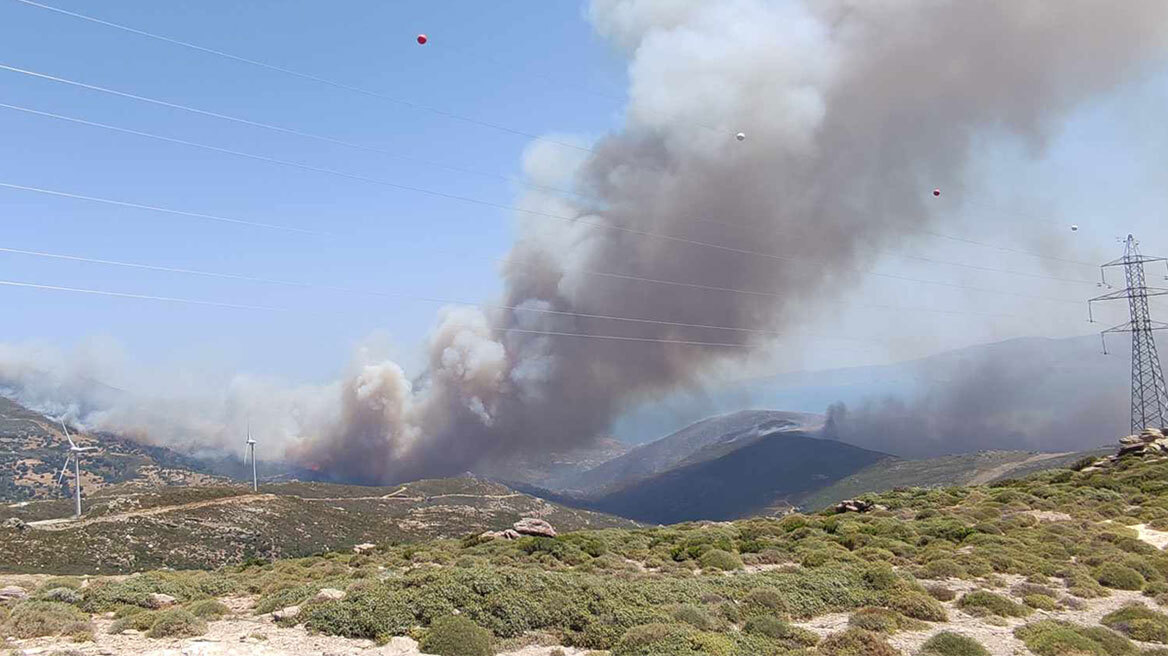 Φωτιά στην Κάρυστο: Νέο μήνυμα από το 112 για εκκένωση της περιοχής Άγιοι