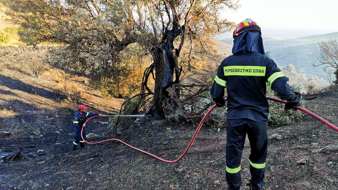 Νεκρός σε δύσβατη περιοχή βρέθηκε ο κτηνοτρόφος στην Κάρυστο