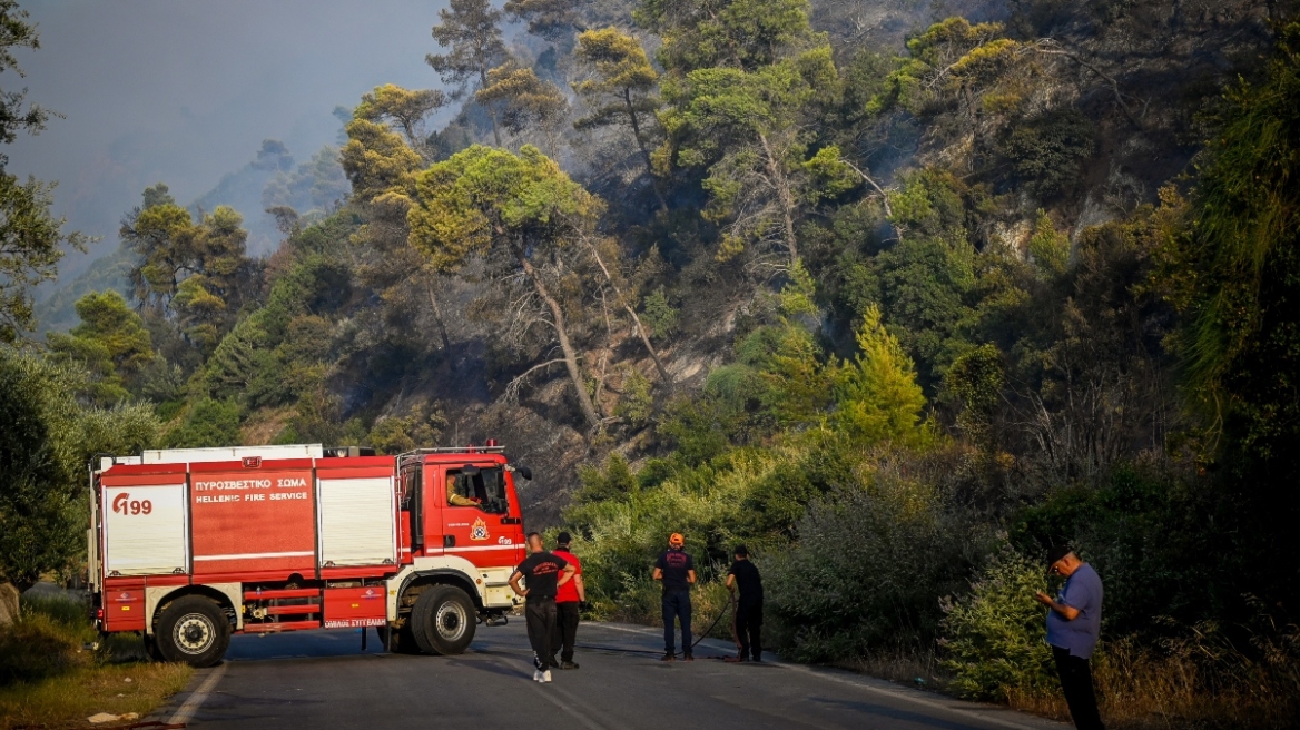 arogi.gov.gr: Άνοιξε η πλατφόρμα για την πρώτη αρωγή στους πληγέντες από τις πυρκαγιές