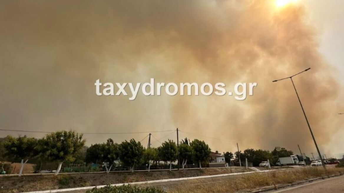 Φωτιά στη Μαγνησία: Επιχείρηση απεγκλωβισμού εργαζομένων σε εργοστάσιο στο Σέσκλο