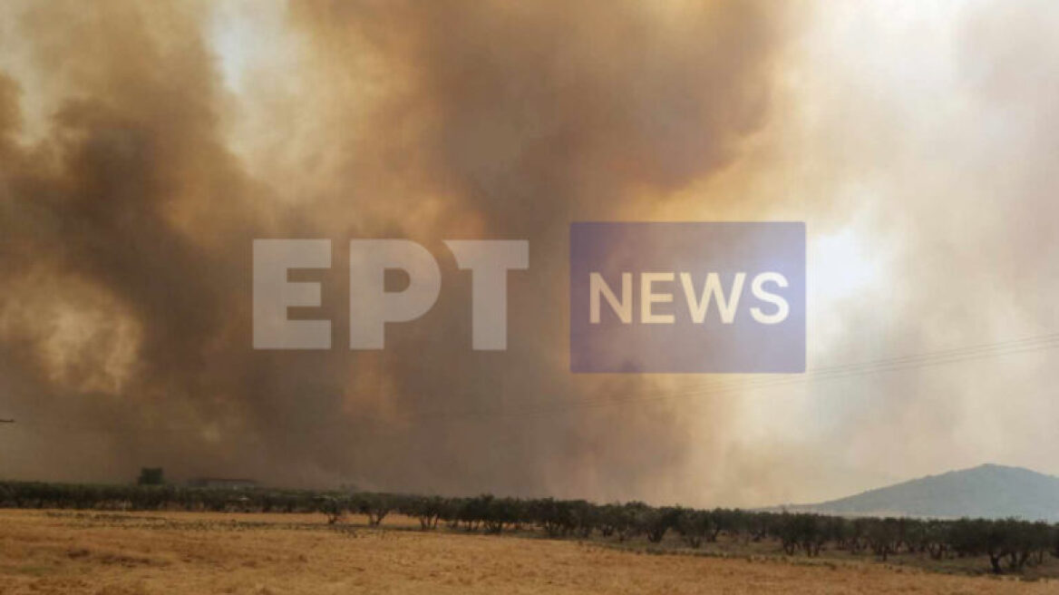 Φωτιά στο Βελεστίνο - Περιφερειάρχης Αγοραστός: Υπάρχουν πάρα πολλά μέτωπα, μεγάλη η μάχη που δίνεται