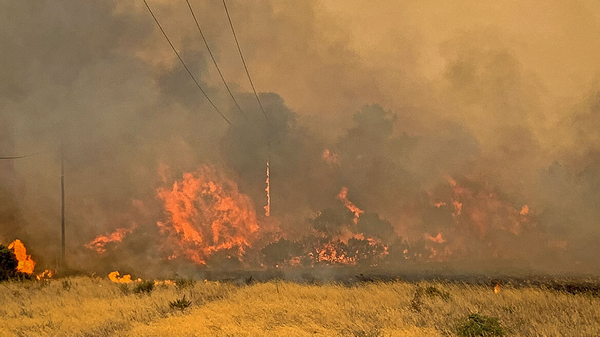 Συνελήφθη γυναίκα στα ορεινά των Τρικάλων για εμπρησμό από πρόθεση