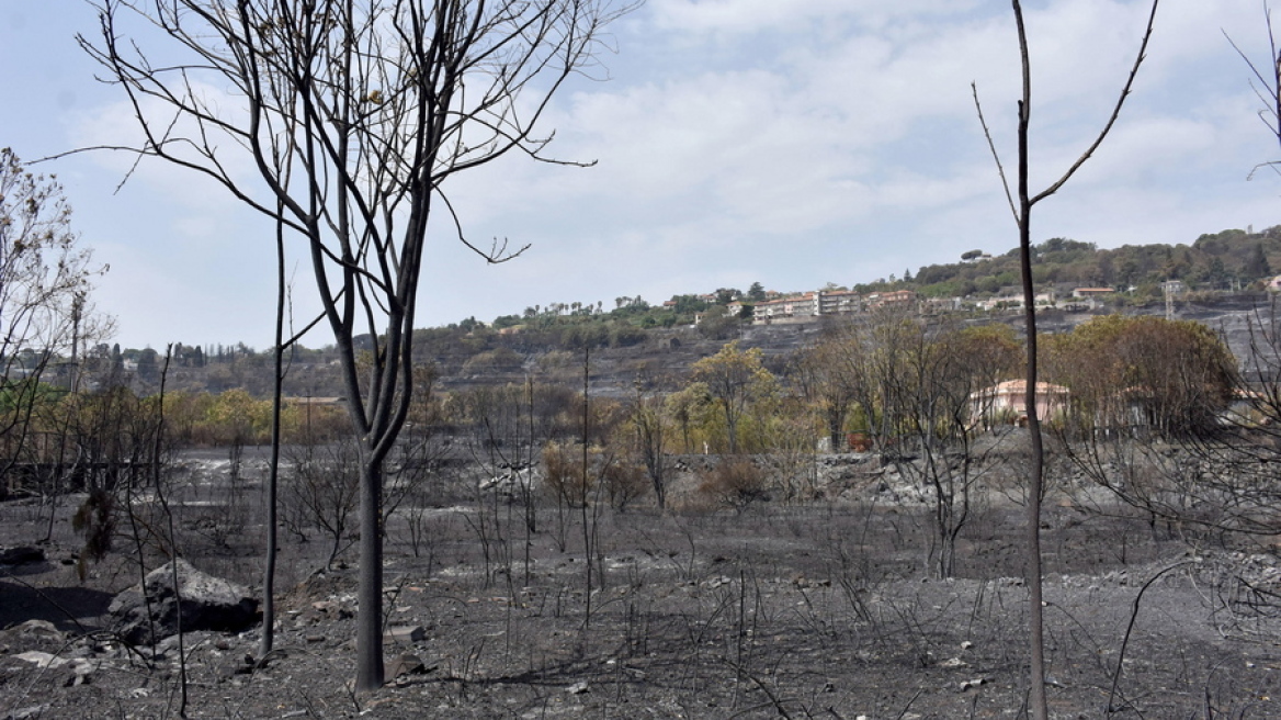 Πυρκαγιές στην Ιταλία – Μάχη με τα μέτωπα στην Απουλία, έρευνες για εμπρησμό