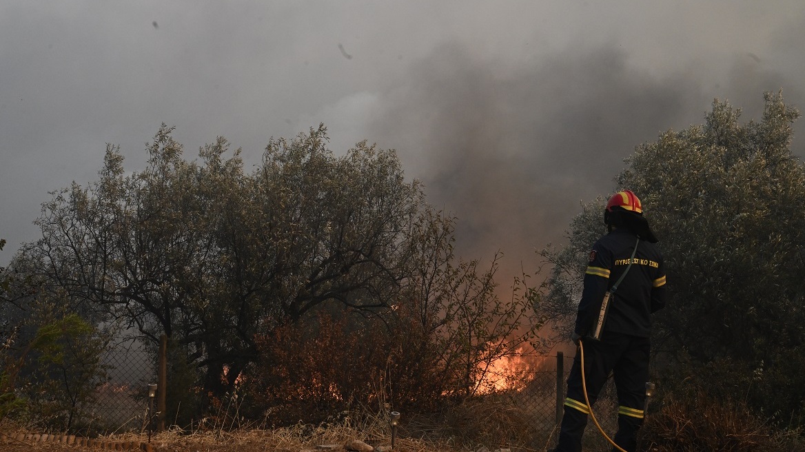 Φωτιά στη Μαγνησία: Μήνυμα του 112 για εκκένωση των περιοχών Κόκκινα και Περίβλεπτο Βόλου