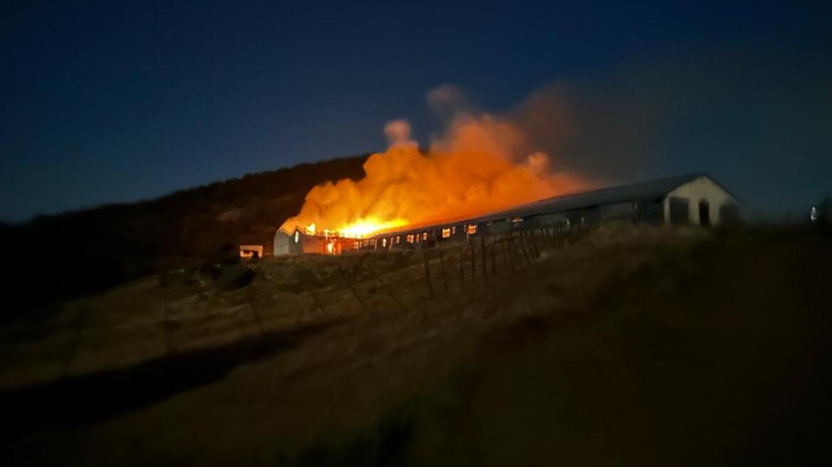 Φωτιά σε ποιμνιοστάσιο στο χωριό Ανάβρα της Μαγνησίας - Δείτε φωτογραφίες