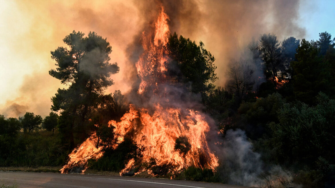 Κικίλιας: Συνελήφθη εμπρηστής την ώρα που έβαζε φωτιά στον Άγιο Στέφανο