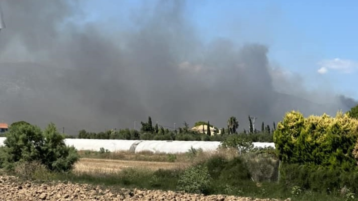 Φωτιά σε χαμηλή βλάστηση στον Μαραθώνα - Δείτε βίντεο, φωτογραφίες