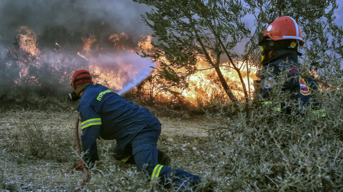 Υπό έλεγχο η φωτιά στα Μέγαρα