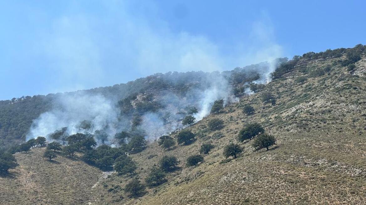 Τέσσερις συλλήψεις εμπρηστών στην Αλβανία - Πυροσβέστες και στρατός στα μέτωπα 