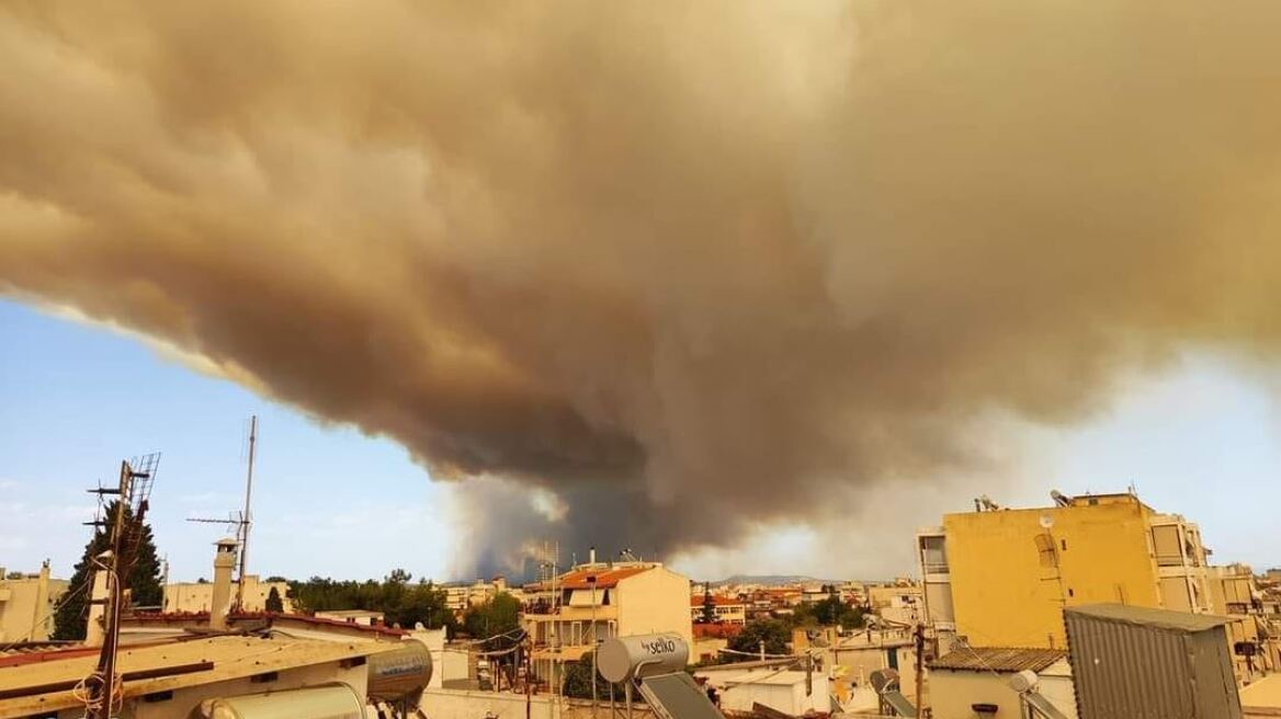 Αλεξανδρούπολη: Σειρήνες ήχησαν για εκκένωση των οικισμών που απειλούνται από τη φωτιά - Δείτε βίντεο