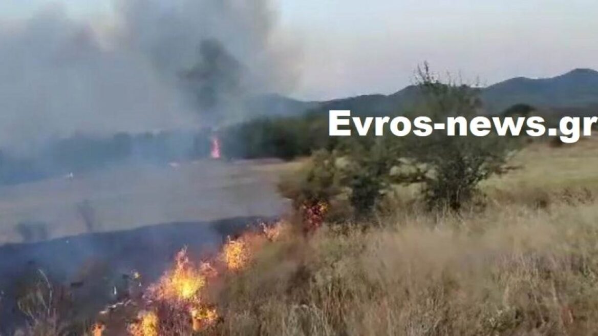 Φωτιά στην περιοχή Μελία στην Αλεξανδρούπολη - Δείτε φωτογραφίες