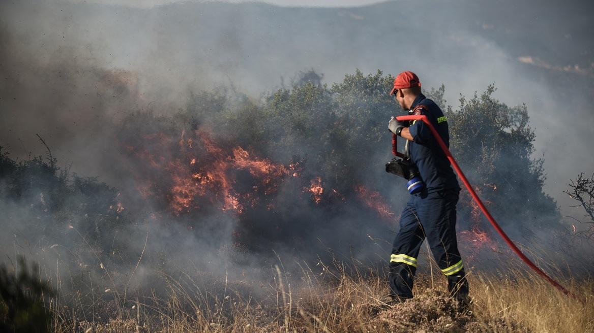 Καιρός: Ανησυχία για τον συνδυασμό Hot-Dry-Windy - Επικίνδυνο τετραήμερο για φωτιές