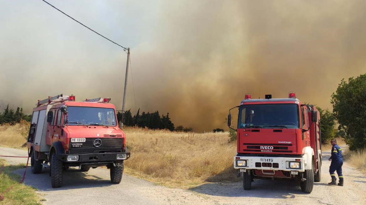 Φωτιά στην Αλεξανδρούπολη: Μάχη με τις φλόγες σε Νίψα, Δωρικό και Αμφιτρίτη - Δείτε βίντεο