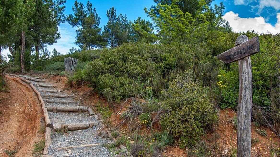 Θεσσαλονίκη: Παρατείνεται η απαγόρευση κυκλοφορίας στο Σέιχ Σου λόγω του πολύ υψηλού κινδύνου πυρκαγιάς