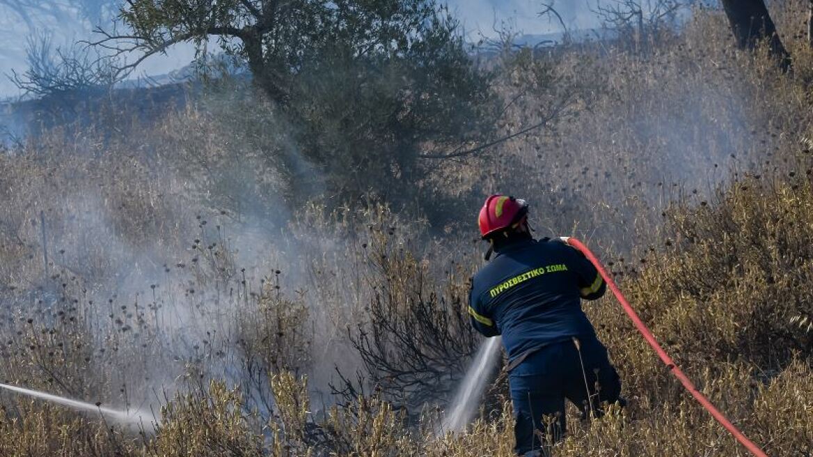 Φωτιά στη Ροδόπη: Εστάλη 112  για την εκκένωση 2 οικισμών 