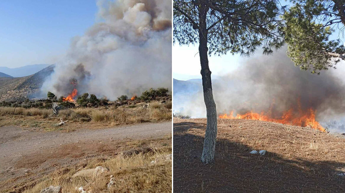 Βοιωτία: Μήνυμα από το 112 για φωτιά στον Πρόδρομο - Εκκενώνεται η παραλία Σαράντη