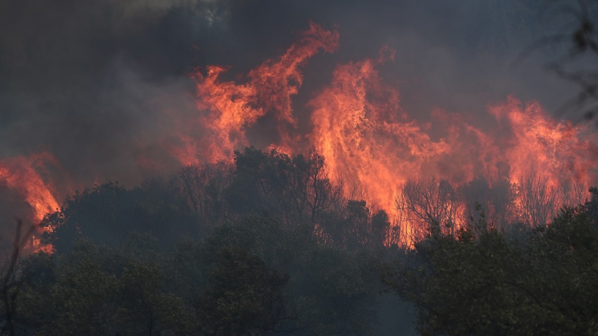 Φωτιά στον Έβρο: Δύο παιδάκια μεταξύ των 18 απανθρακωμένων μεταναστών στο δάσος της Δαδιάς