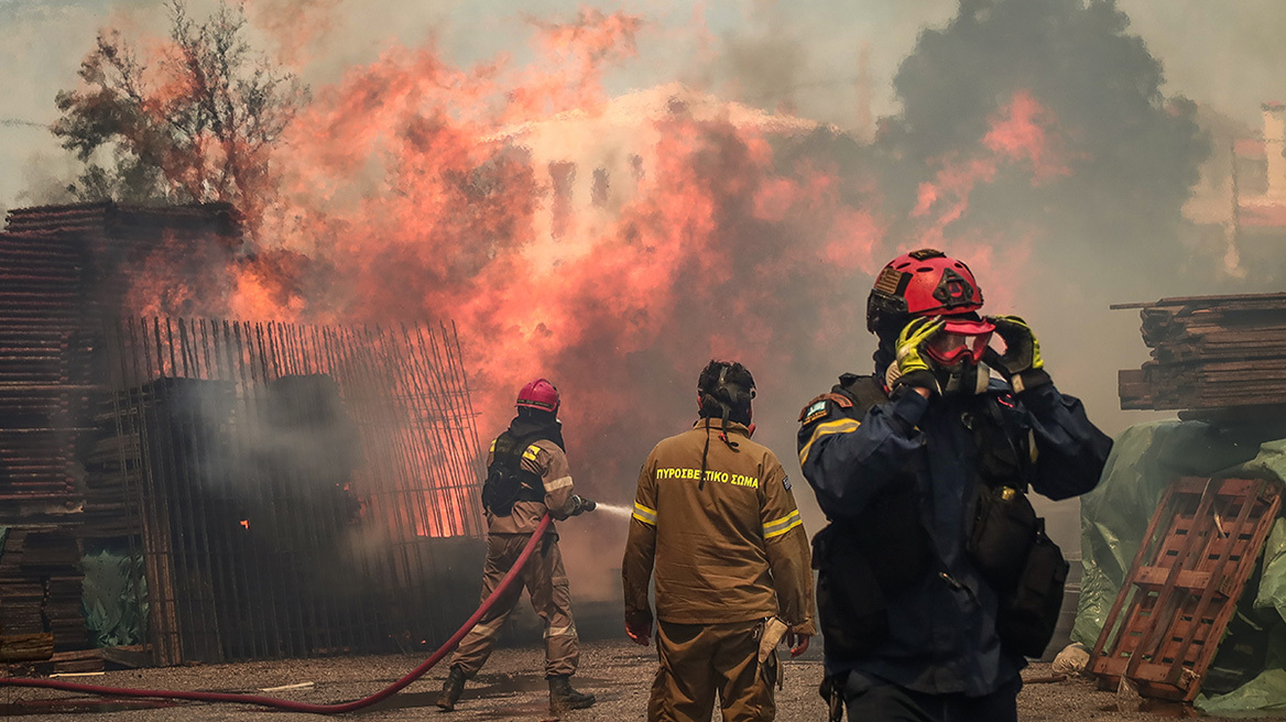 Πυρκαγιά στον Έβρο: Κάηκε σχεδόν το 60% του δάσους της Δαδιάς