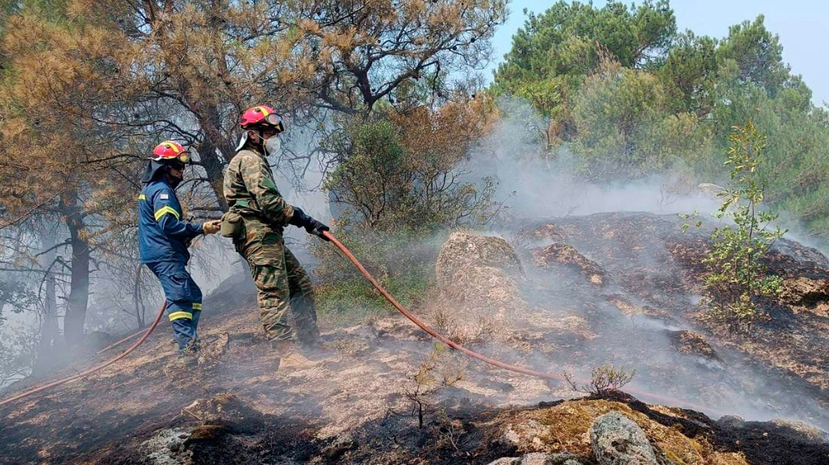 Φωτιά στον Έβρο: Εντοπίστηκαν 18 απανθρακωμένοι μετανάστες στο δάσος της Δαδιάς