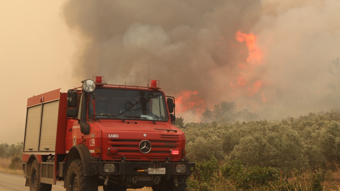 Φωτιά στον Έβρο: Τα διεθνή μέσα για τους 18 νεκρούς μετανάστες στο δάσος της Δαδιάς