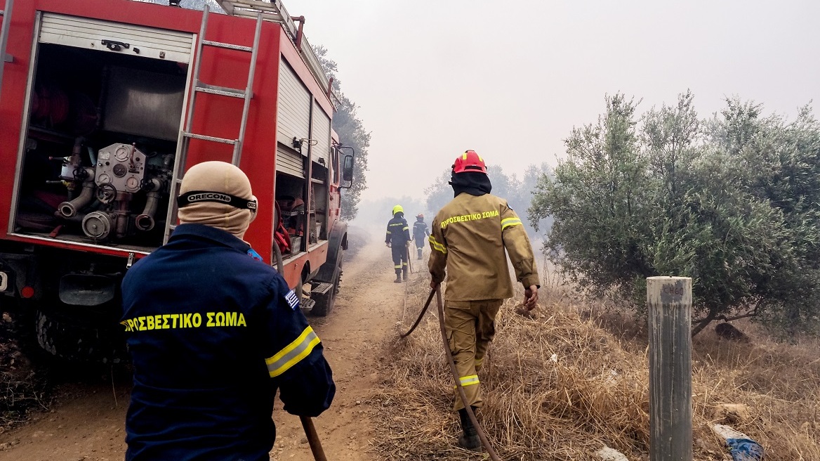 Φωτιά στην Εύβοια: Νέα αναζωπύρωση στον Βατώντα εξαιτίας των ισχυρών ανέμων