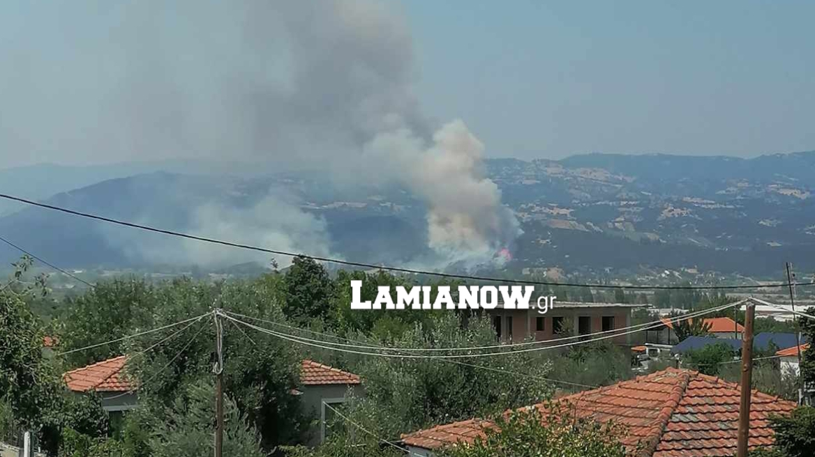 Φωτιά στη Φθιώτιδα: Πυρκαγιά στη Μακρακώμη σε αγροτοδασική έκταση - Δείτε βίντεο