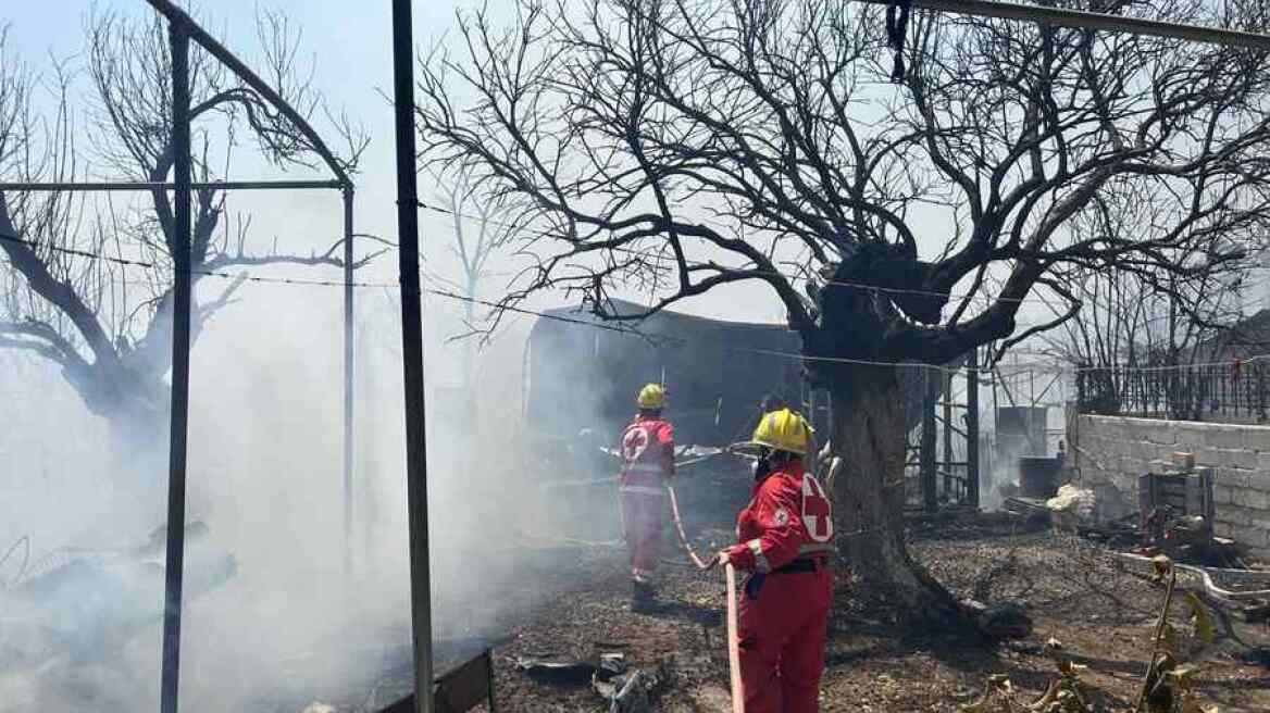 Φωτιά στην Βοιωτία: «Η κατάσταση παραμένει εφιαλτική» - Ξεπερνά τα 10 χιλιόμετρα το πύρινο μέτωπο