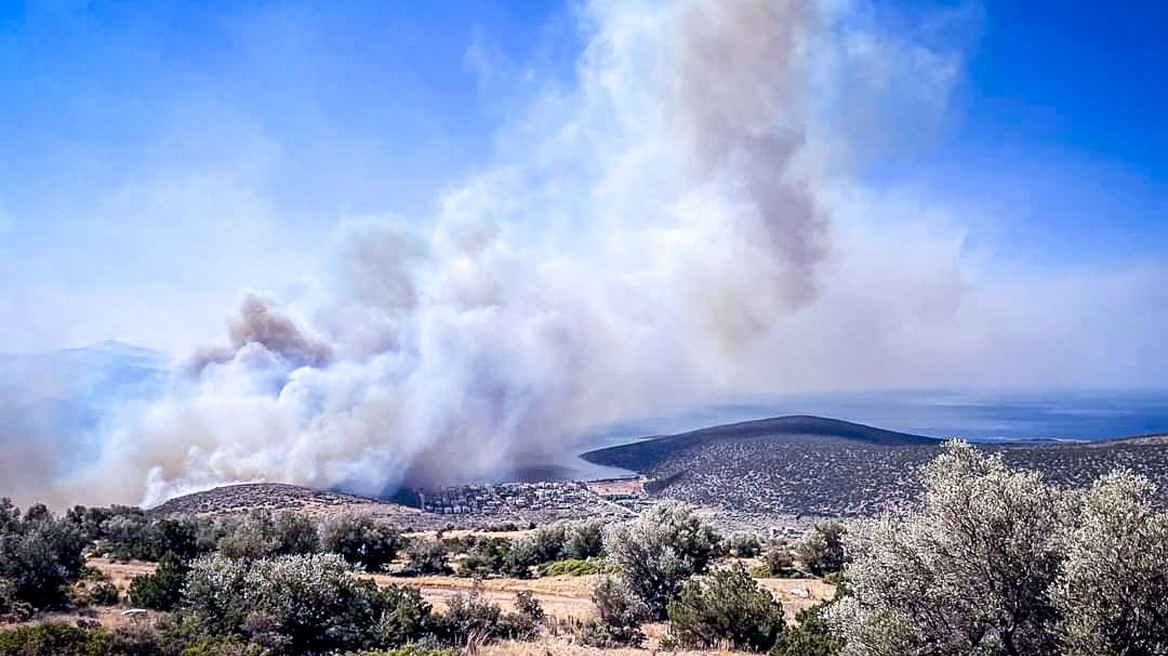 Φωτιά στην Βοιωτία: Μήνυμα του 112 για εκκένωση εννέα περιοχών