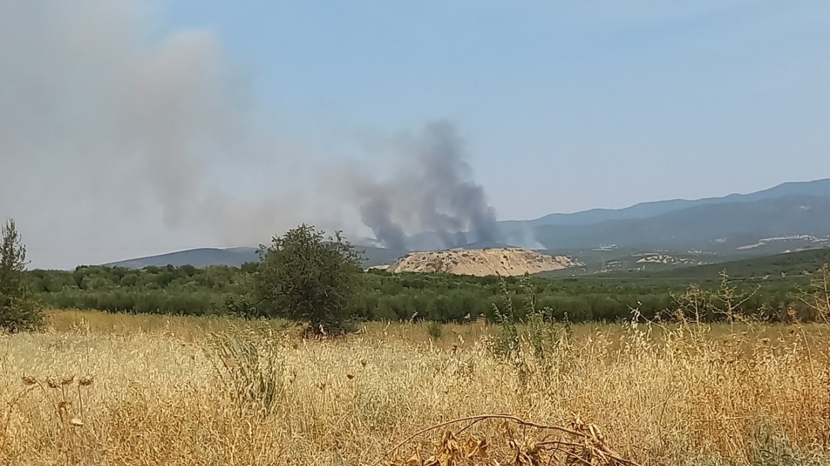 Φωτιά στη Χαλκιδική κοντά στον Πολύγυρο - Ενισχύθηκαν οι δυνάμεις - Βίντεο