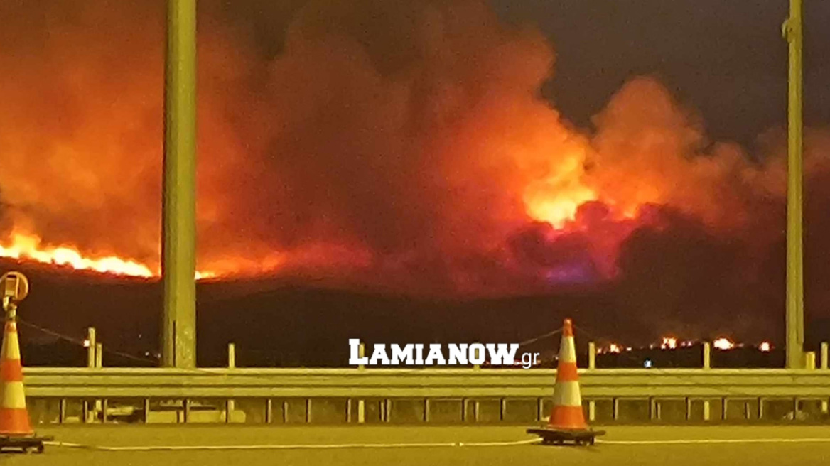 Φωτιές στη Βοιωτία: Μεγάλο μέτωπο πυρκαγιάς στη Θήβα, οι φλόγες φαίνονται από την Εθνική Οδό - Βίντεο και φωτογραφίες