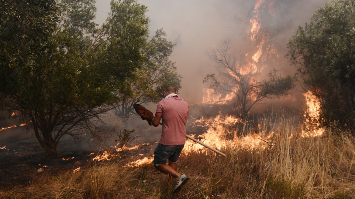 Φωτιά στη Φυλή: Βίντεο πολιτών με την επέλαση της πυρκαγιάς - «Σε λίγες ώρες νυχτώνει και θα είναι ανεξέλεγκτη»