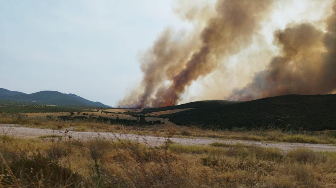 Υπό μερικό έλεγχο η φωτιά στον Πολύγυρο Χαλκιδικής