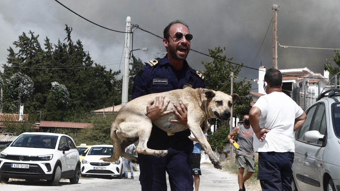 Φωτιές: Αστυνομικοί στη «μάχη» με τις φλόγες, «κάνουμε το καθήκον μας» - Δείτε βίντεο