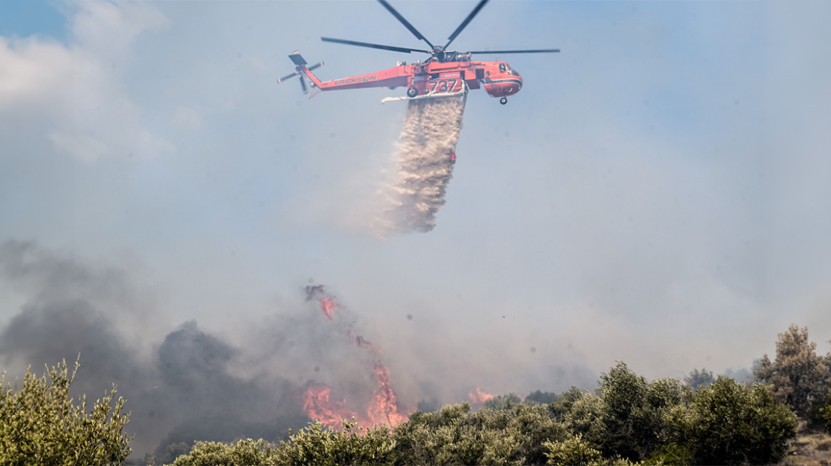 Η ανάλυση του Meteo για την «εκρηκτική» εξάπλωση της φωτιάς - Τι είναι το πυρονέφος που σχηματίστηκε στην Πάρνηθα