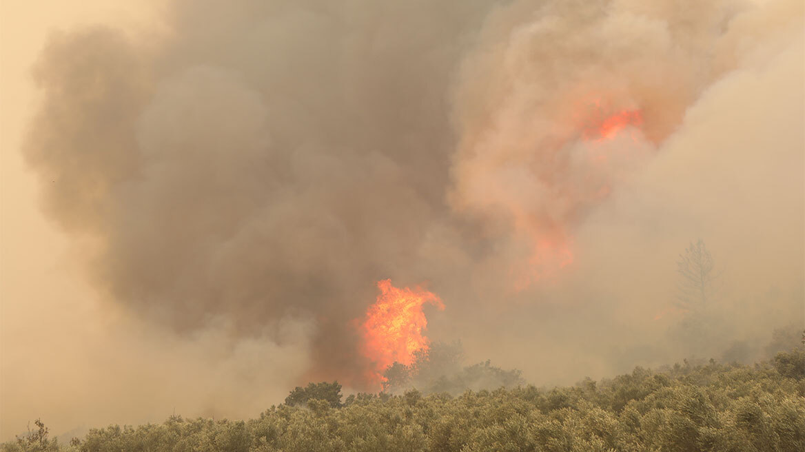 Φωτιά στην Αλεξανδρούπολη: Τέσσερα τα ενεργά μέτωπα της πυρκαγιάς - Ασθενέστεροι σήμερα οι άνεμοι