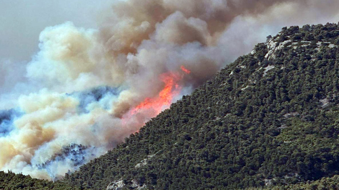 Φωτιά στην Πάρνηθα: Μάχη με τις φλόγες για να σωθεί ο Εθνικός Δρυμός