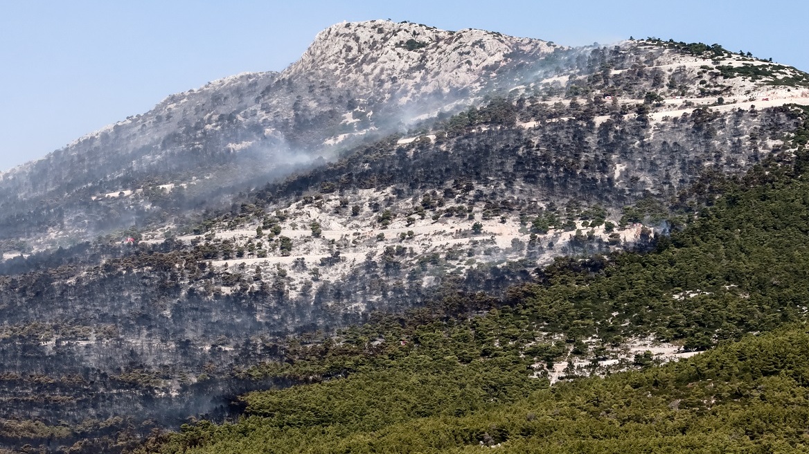 Φωτιές - Meteo: Περισσότερα από 1.200.000 στρέμματα έχουν καεί στη χώρα μας την τρέχουσα αντιπυρική περίοδο