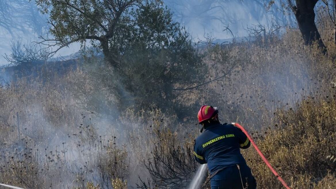 Φωτιές: Καλύτερη εικόνα από τα πύρινα μέτωπα στη Ροδόπη