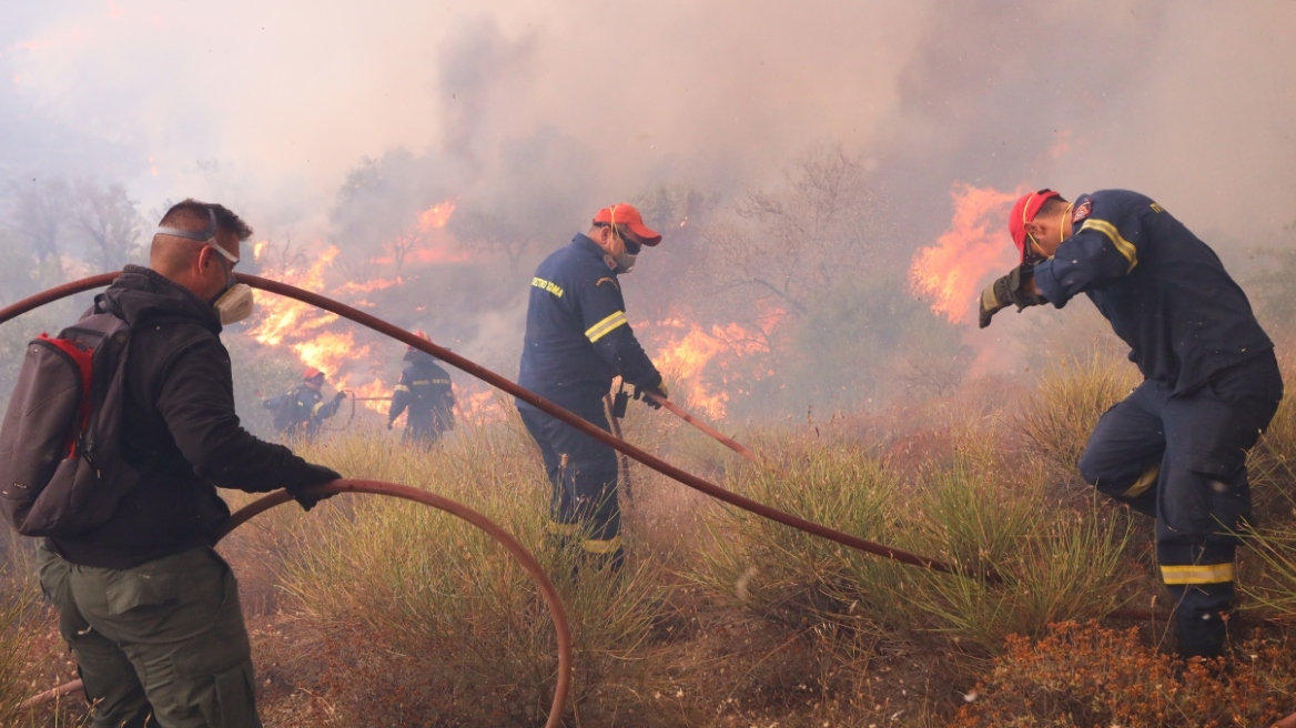 Φωτιά στη Βοιωτία: Μεγάλο το πύρινο μέτωπο - Ελπίδα τα εναέρια μέσα