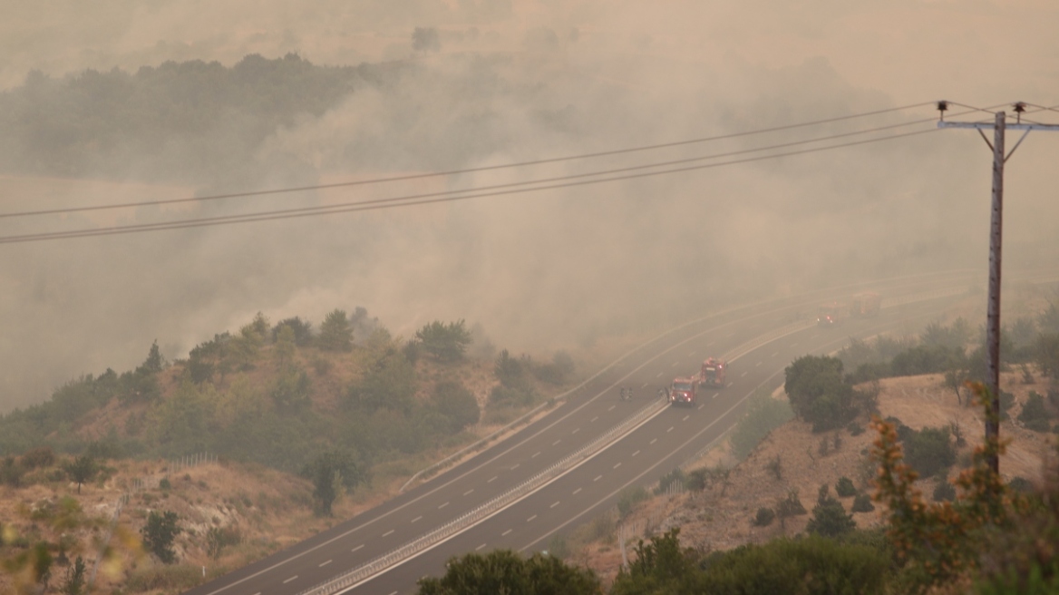 Φωτιά στην Αλεξανδρούπολη: Προσπάθειες να ανακοπεί η πορεία της προς τον οικισμό της Δαδιάς