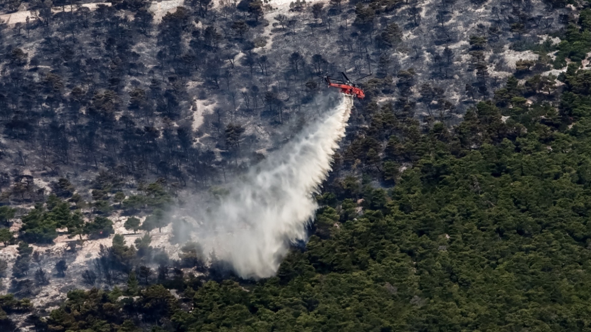 Φωτιά στην Πάρνηθα: Αναζωπυρώσεις σε διάσπαρτες εστίες - Δείτε βίντεο και φωτογραφίες