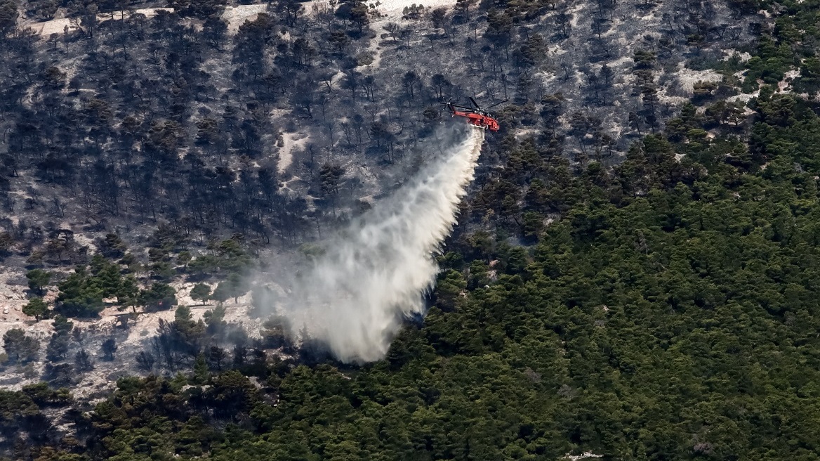 Φωτιά στην Πάρνηθα: Μεγάλη κινητοποίηση με 270 πυροσβέστες, 77 οχήματα και 22 εναέρια μέσα - Μάχη με τις αναζωπυρώσεις