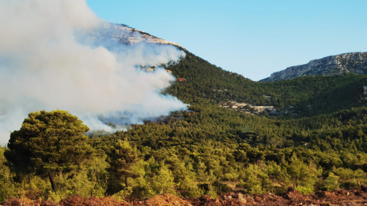 Κόκκαλης: Δεχθήκαμε συνεχόμενες απόπειρες εμπρησμού - Πέντε εστίες εκδηλώθηκαν ταυτόχρονα στον Αυλώνα