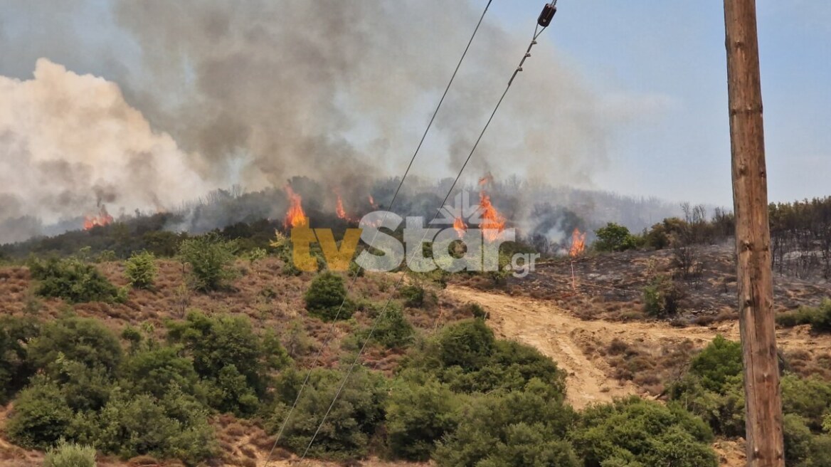 Αναζωπυρώθηκε η φωτιά στη Βίτωλη Φθιώτιδας, πάνω από τα σπίτια του χωριού - Ρίψεις νερού από PZL και Canadair